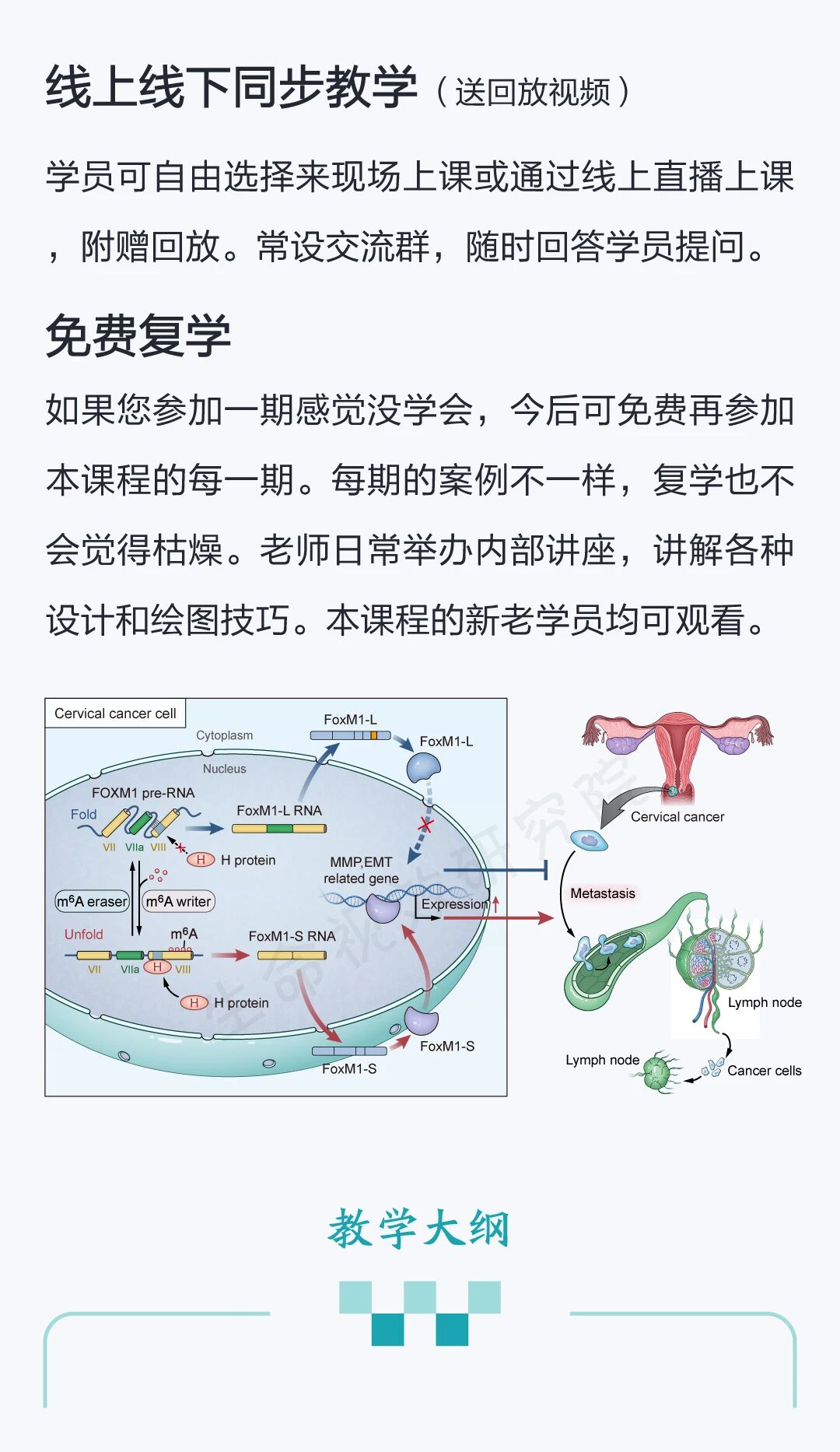[6月]“AI赋能科研插图设计”训练营即将开课-肽度TIMEDOO