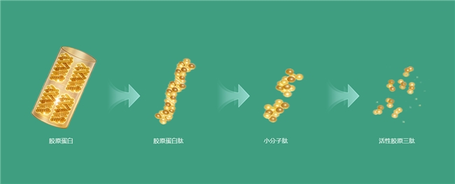 精准营养驱动健康产业升级 海南富进爱科以合成生物赋能民生健康