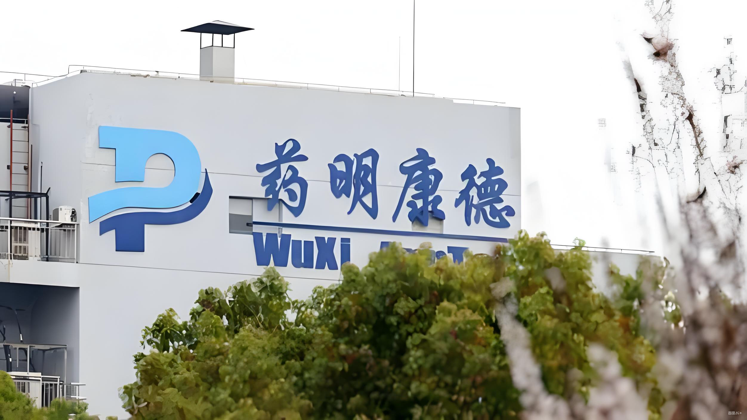 药明康德2026年第一季度收入和利润均实现强劲增长