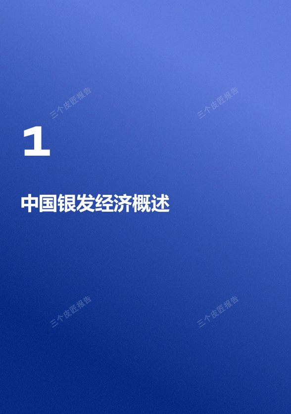 2030年银发经济破16万亿!3.1亿老人、9.4万亿市场!银发经济,下一个十年最大风口-肽度TIMEDOO