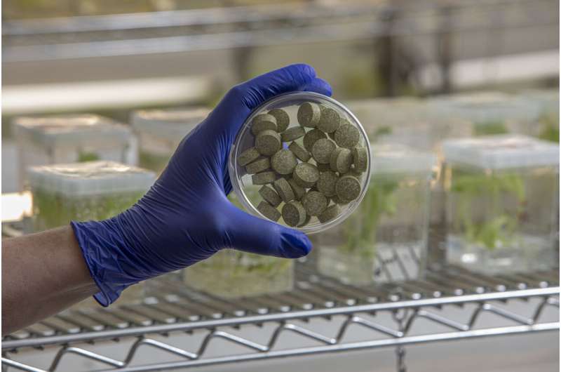 科学家研发生物工程口香糖，精准清除头颈癌相关病原体