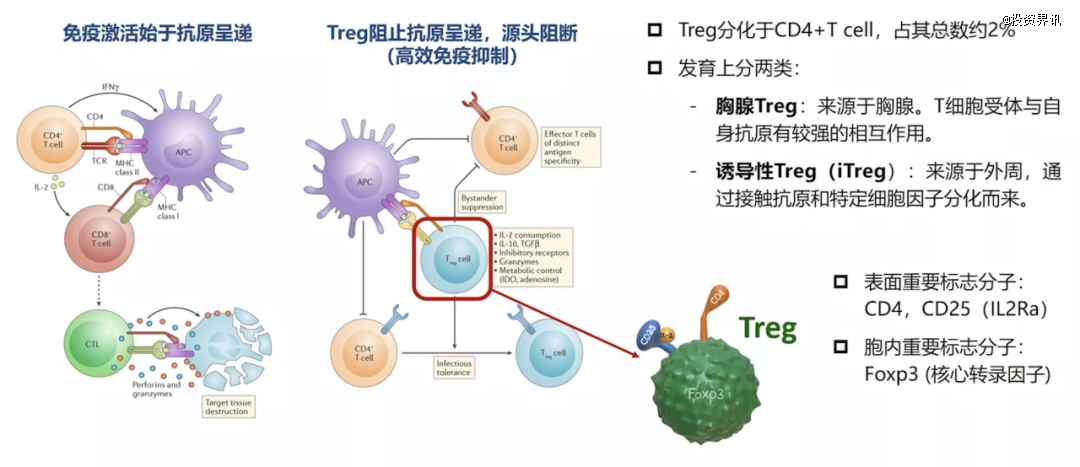 博迪贺康完成A轮融资,复旦科创与龙磐投资联合领投-肽度TIMEDOO