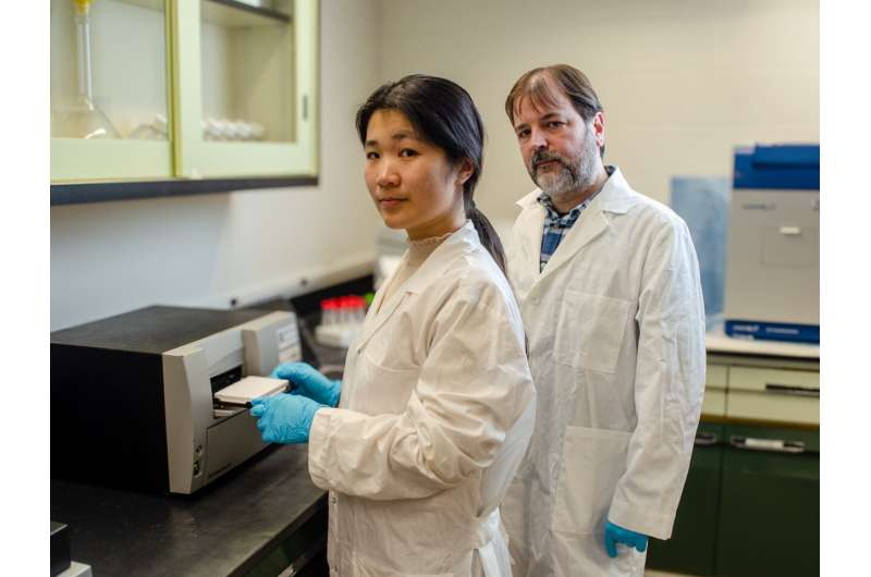 《分子精神病学》：儿童虐待如何改写生理轨迹？新研究揭示发育紊乱与内稳态失衡