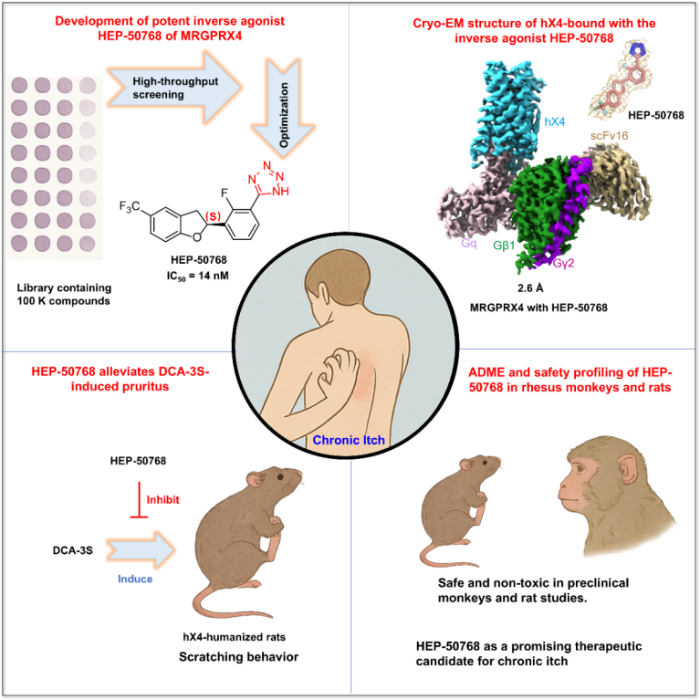 image.png 北京大学雷晓光团队合作开发出治疗胆汁淤积瘙痒“first-in-class”临床候选药物-肽度TIMEDOO