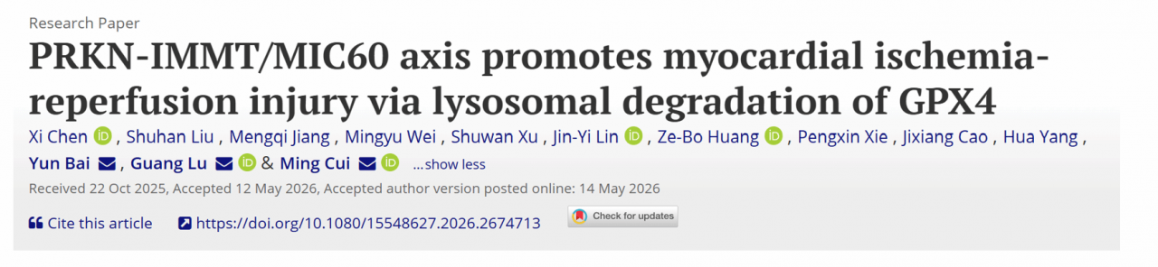 image1.png 北京大学第三医院崔鸣教授团队与合作团队揭示心肌缺血再灌注损伤新机制-肽度TIMEDOO