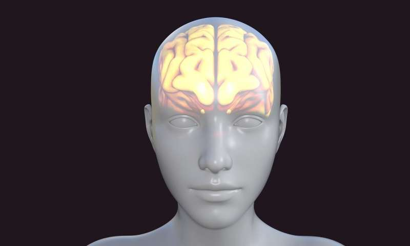 《自然》：全麻并非意识“关机”？科学家发现海马体在无意识下仍能“盲听”并预测语言