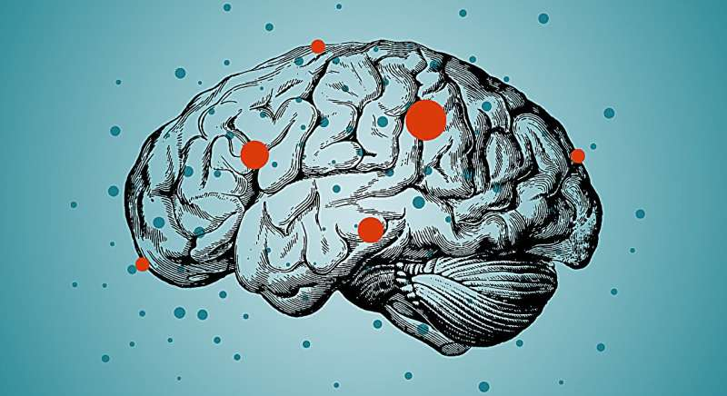 《自然-通讯》：反直觉发现！科学家用单细胞测序揭示多系统萎缩晚期的“免疫耗竭”机制