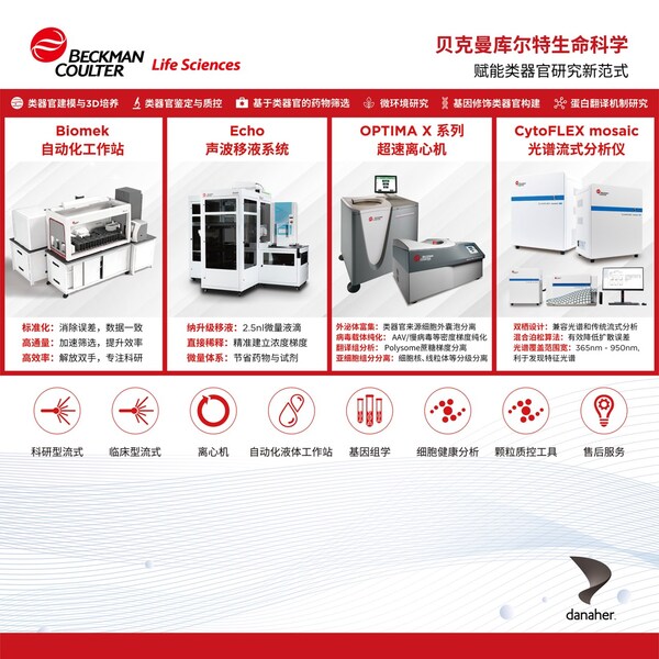 Hans Clevers教授领衔类器官平台建设，贝克曼库尔特生命科学赋能类器官研究-肽度TIMEDOO