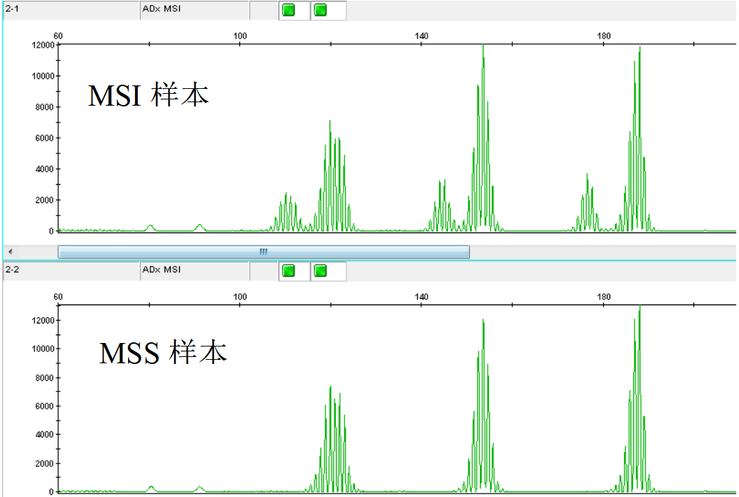 解密MSI:同样患肿瘤,为何有人免疫治疗效果翻倍?-肽度TIMEDOO