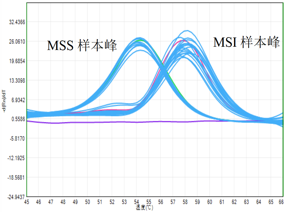 解密MSI:同样患肿瘤,为何有人免疫治疗效果翻倍?-肽度TIMEDOO