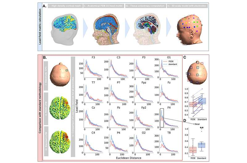 《PLOS Digital Health》:科研人员构建2岁自闭症患儿高保真数字孪生脑模型 揭示皮层深处神经元兴奋/抑制失衡-肽度TIMEDOO