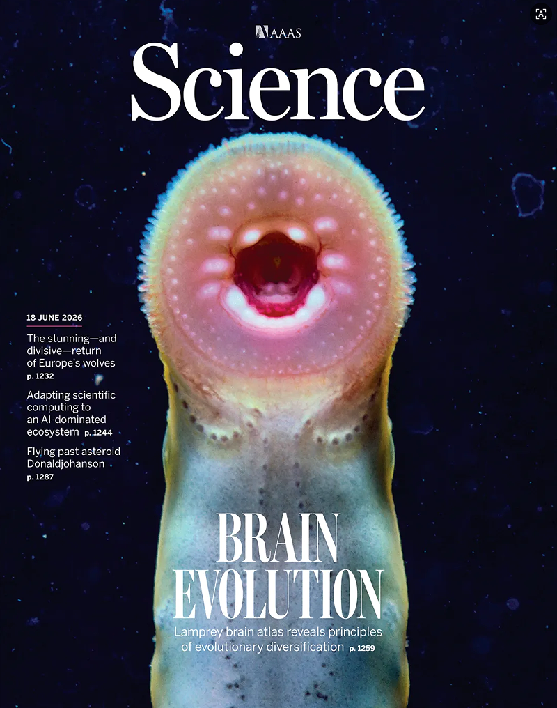 Science封面！华大等机构联合揭示：我们的脑部设计图，在5亿年前就打好了草稿