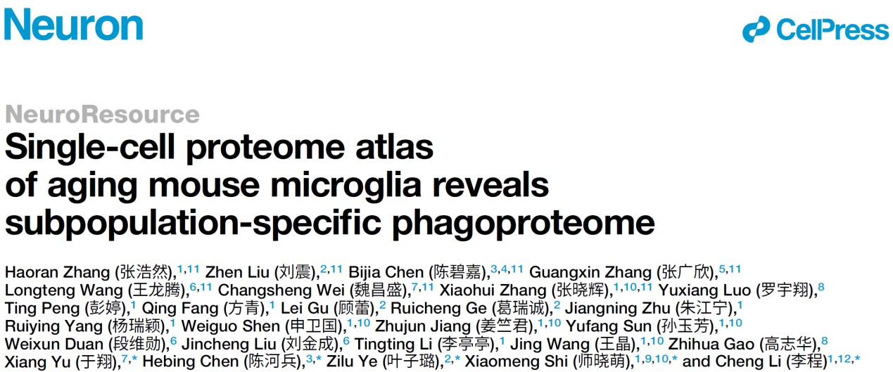 图片1.jpg 北京大学生命科学学院李程课题组与合作者共同绘制小鼠衰老小胶质细胞的单细胞蛋白质组学图谱-肽度TIMEDOO