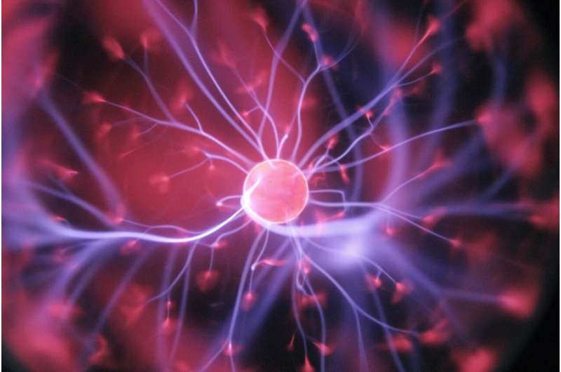 《自然》：揭秘海马体“记忆交换机” 科学家发现神经元复用与记忆巩固新机制