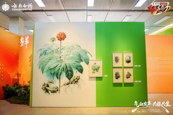 从3亿支销量到16城K歌大赛,云南白药气血康正在改写中药“存在方式”-肽度TIMEDOO