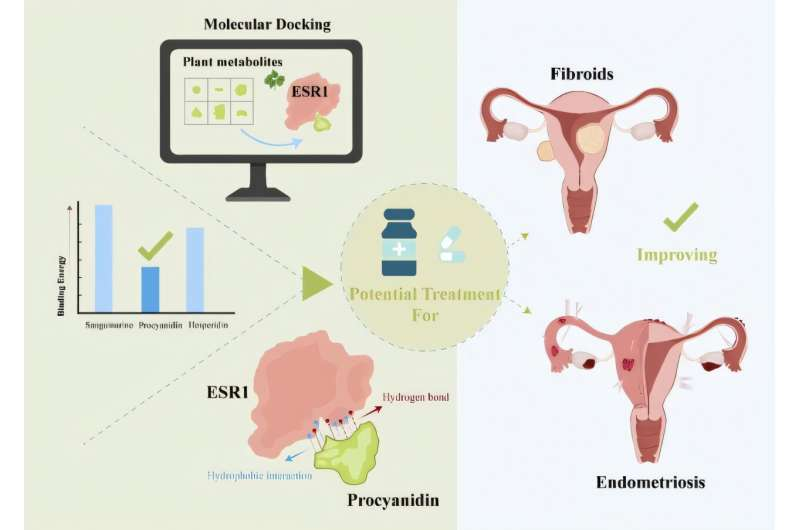 葡萄籽里的成分，或许能帮助治疗两种困扰女性的常见病
