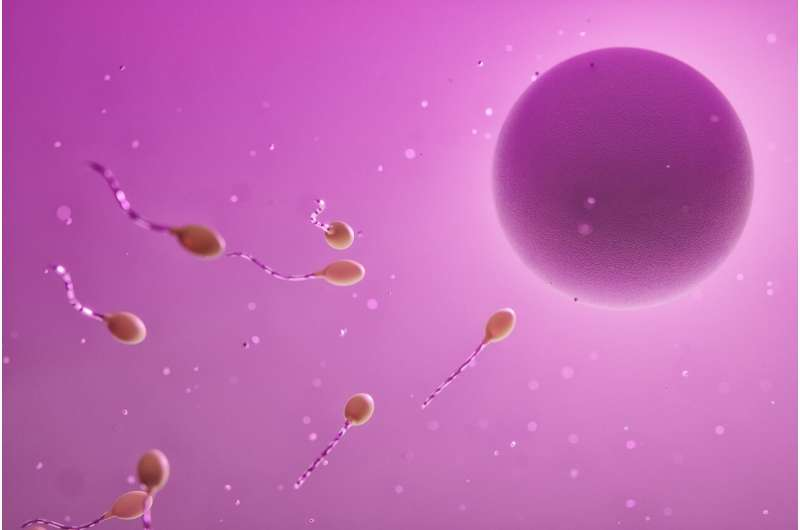 精子是怎么炼成的？科学家在体外重现了这个过程的关键早期阶段