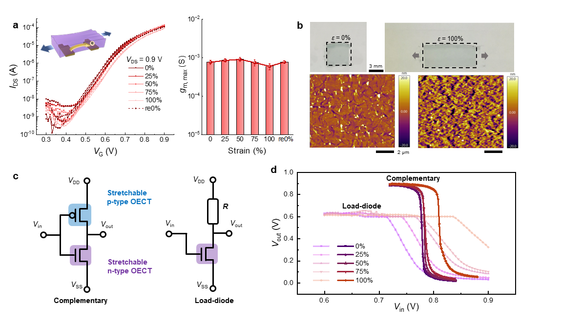 image2.png 北京大学雷霆团队在弹性生物信号放大器领域取得重要突破-肽度TIMEDOO