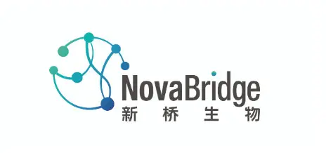 新桥生物公布2026年上半年财务业绩，展示管线进展与战略执行亮点