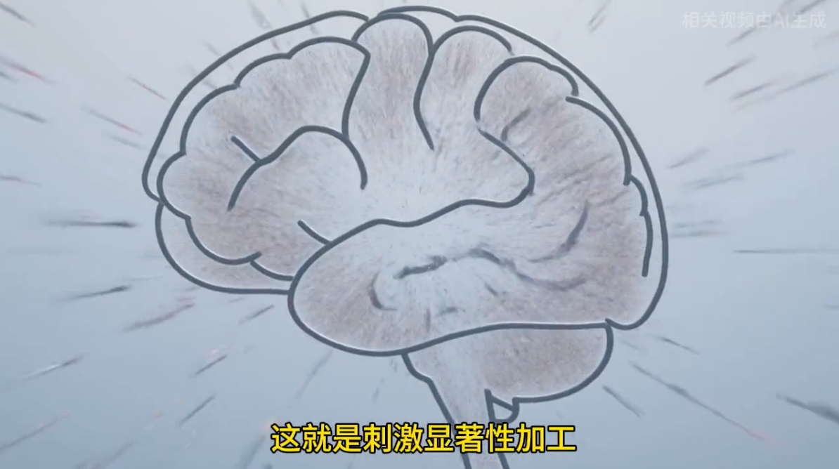 科研人员发现大脑全新神经调控环路