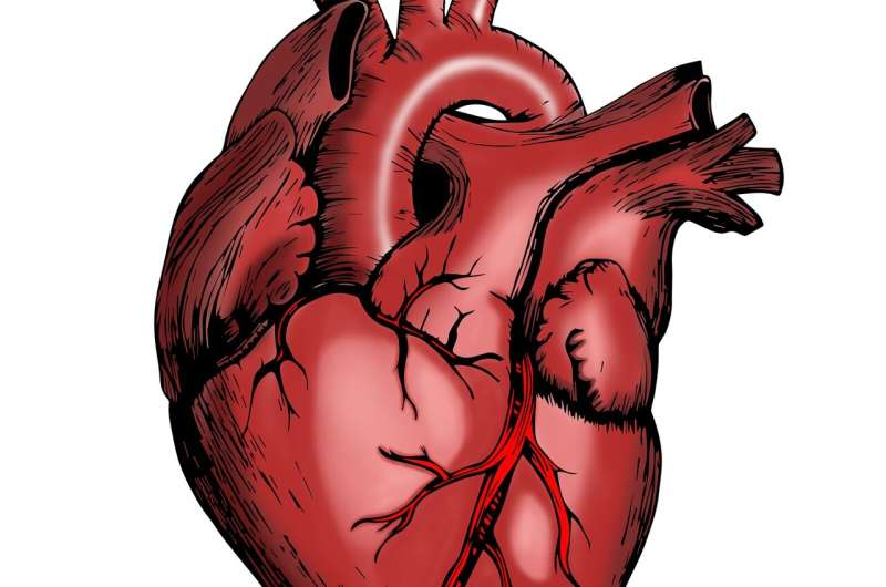 《Nature Cardiovascular Research》：利用空间转录组技术，范德堡大学团队破解心脏移植排斥分子异质性