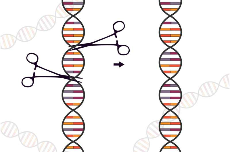 病毒学会了破解CRISPR，以为可以入侵细菌——却不知道关掉CRISPR会解锁更强的防御