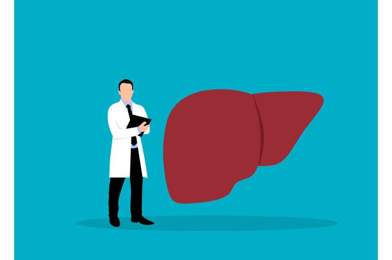 《Nature Communications》：德克萨斯大学团队揭示肝脏生物钟分泌蛋白节律，内酵素定时释放显著调控脂肪代谢