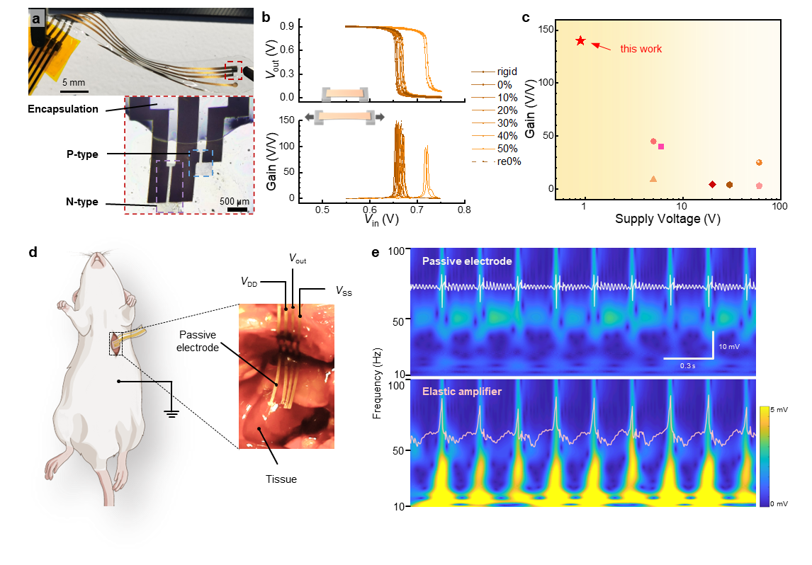 image3.png 北京大学雷霆团队在弹性生物信号放大器领域取得重要突破-肽度TIMEDOO