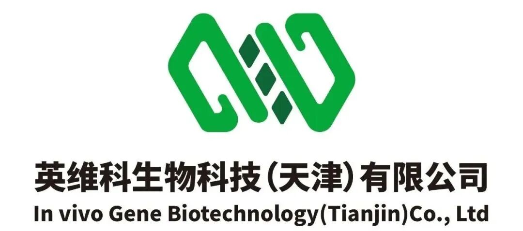 “英维科生物”宣布完成天使轮融资，以底层SNP递送技术破局“体内CAR-X”