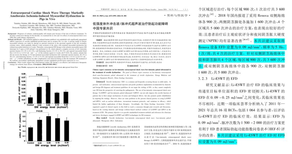 从“碎石”到“修复”：低能量冲击波在中国的探索研究-肽度TIMEDOO
