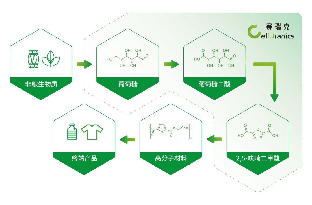 赛瑞克完成数亿元A1轮融资,葡萄糖路线FDCA进入量产阶段-肽度TIMEDOO