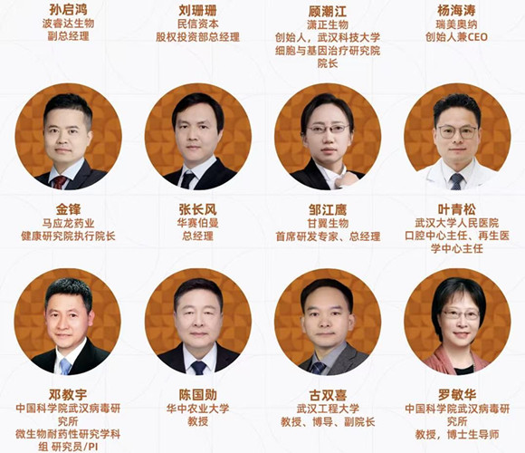 开幕倒计时!第二届BIONNOVA华中创新论坛即将启幕-肽度TIMEDOO