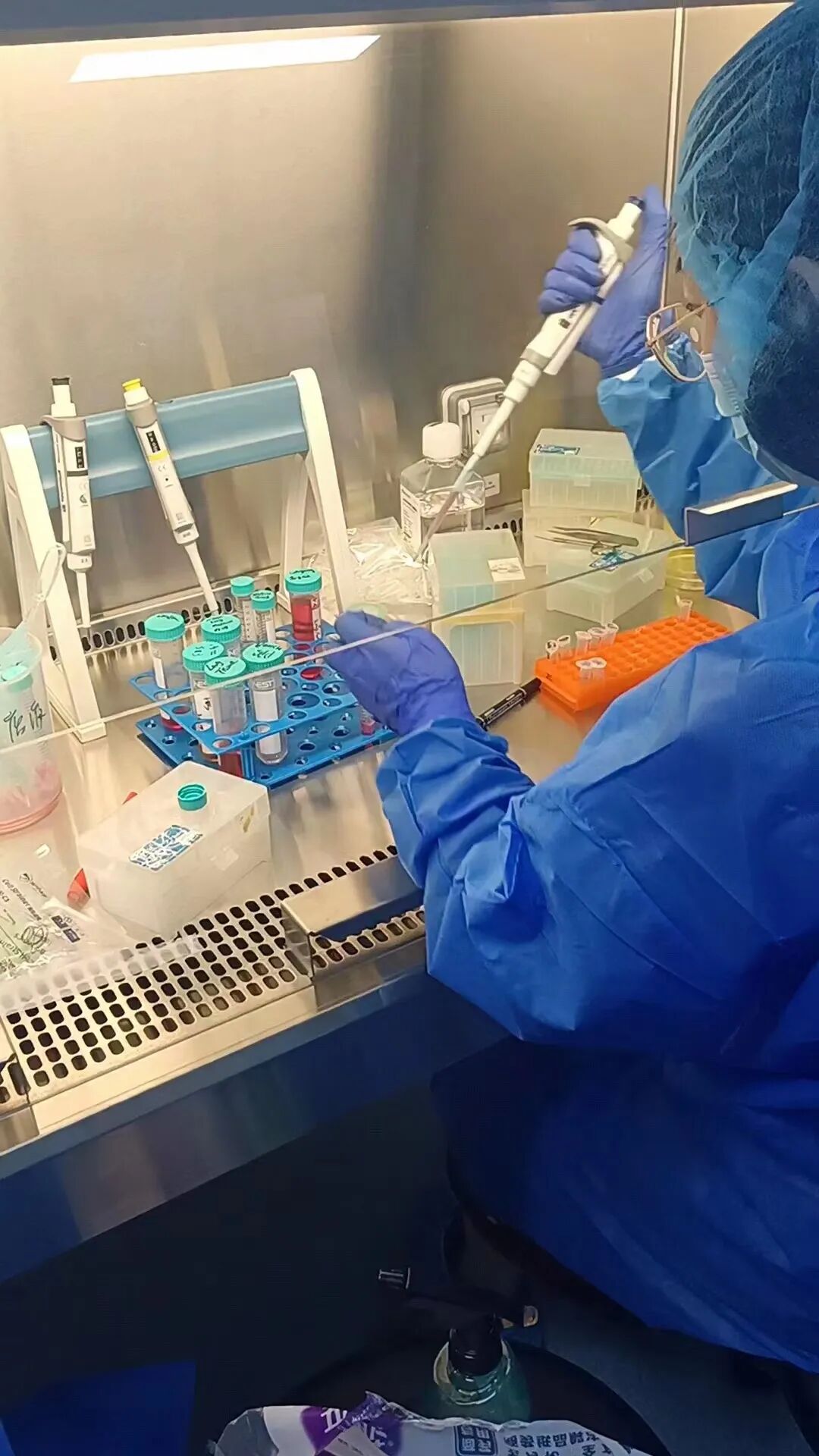 浙江大学ipsc 成体干细胞类器官技术研习班