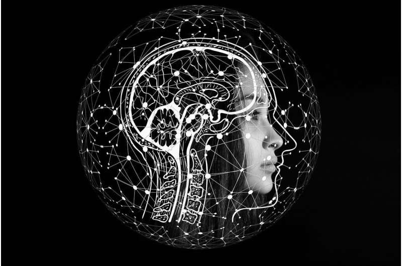 《Nature》：星形胶质细胞不是
