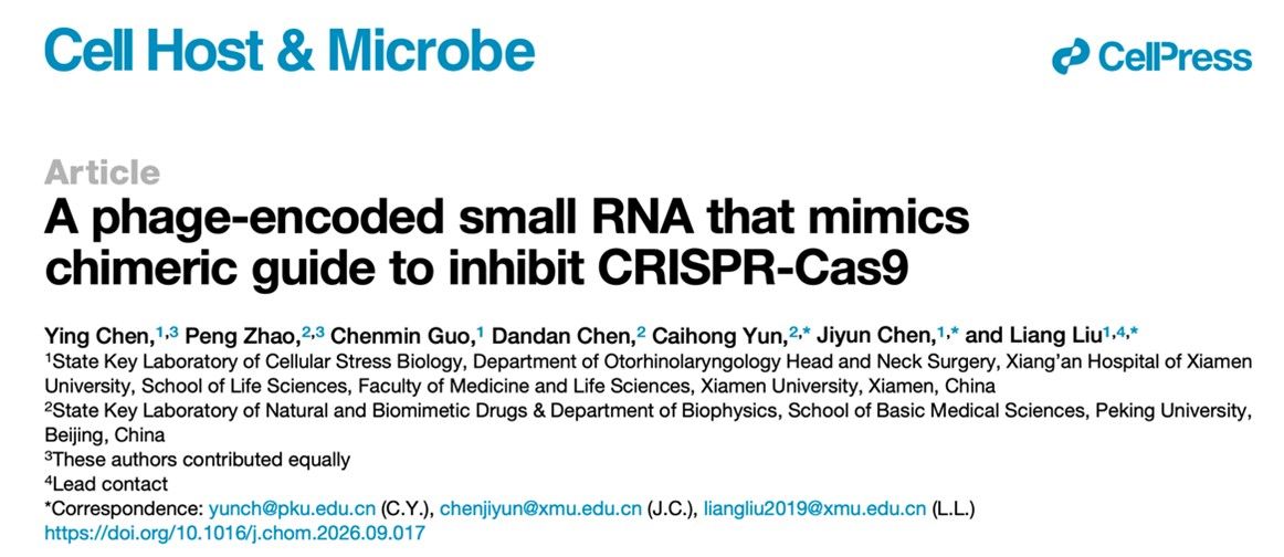 厦门大学刘亮团队揭示噬菌体小RNA调控Cas9并实现可编程基因编辑